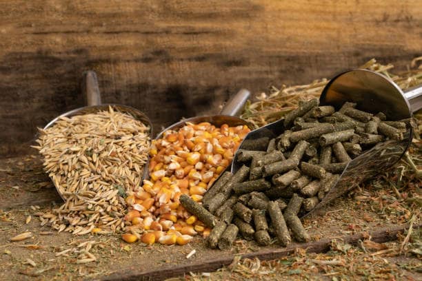 خرید و قیمت مکمل خوراک دام + فروش عمده